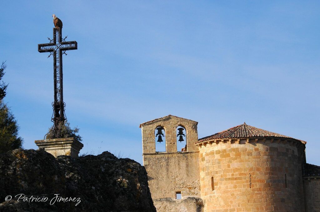 Buitre Hoces Río Duratón