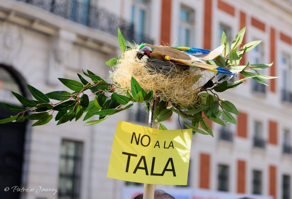 Manifestación contra la tala en Madrid