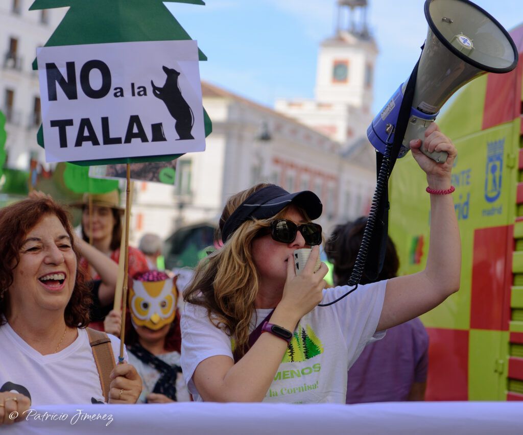Manifestación contra la tala en Madrid